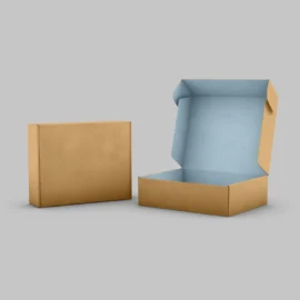 Mailer Box